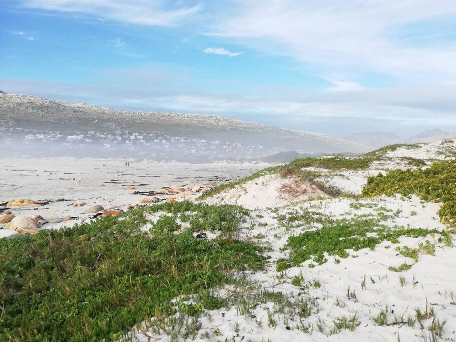 Serene Hide-Away With Ocean Views. Cape Town Exterior photo